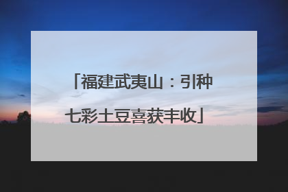 福建武夷山：引种七彩土豆喜获丰收