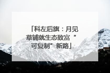科左后旗：月见草铺就生态致富“可复制”新路