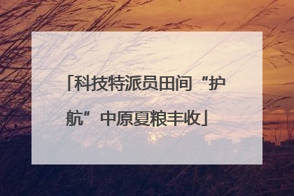 科技特派员田间“护航”中原夏粮丰收
