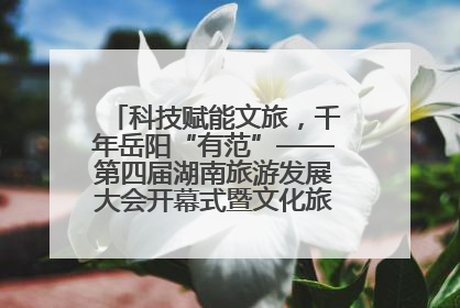 科技赋能文旅，千年岳阳“有范”——第四届湖南旅游发展大会开幕式暨文化旅游推介会侧记