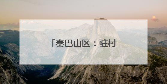 秦巴山区：驻村第一书记“组团服务”促振兴