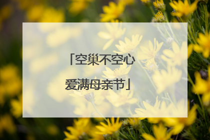 空巢不空心 爱满母亲节