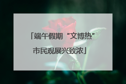 端午假期“文博热” 市民观展兴致浓