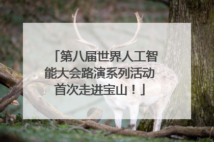第八届世界人工智能大会路演系列活动首次走进宝山！