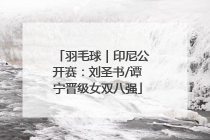羽毛球｜印尼公开赛：刘圣书/谭宁晋级女双八强