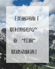 美丽河南丨联村抱团兴产业 “红旗”联建动脉通