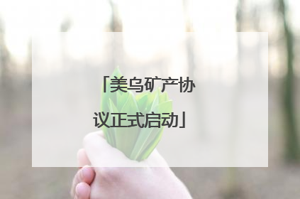 美乌矿产协议正式启动