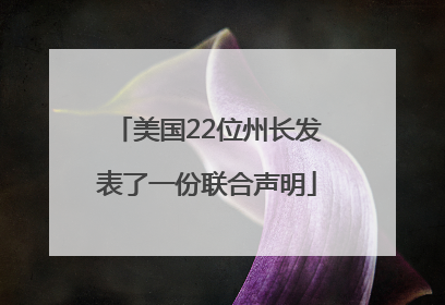 美国22位州长发表了一份联合声明