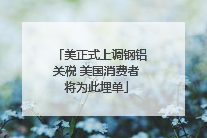 美正式上调钢铝关税 美国消费者将为此埋单
