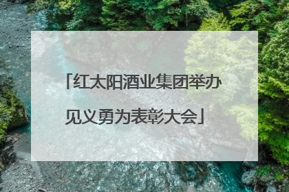 红太阳酒业集团举办见义勇为表彰大会