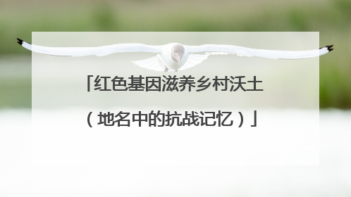 红色基因滋养乡村沃土（地名中的抗战记忆）