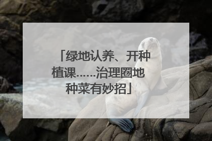 绿地认养、开种植课……治理圈地种菜有妙招