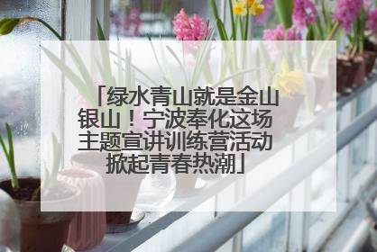 绿水青山就是金山银山！宁波奉化这场主题宣讲训练营活动掀起青春热潮
