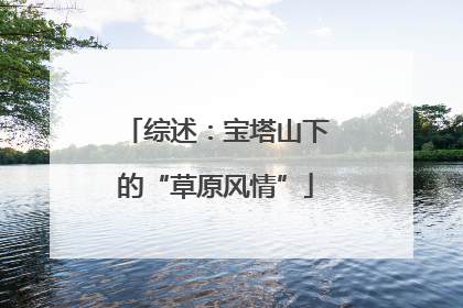 综述：宝塔山下的“草原风情”