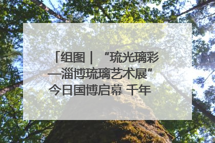 组图｜“琉光璃彩—淄博琉璃艺术展”今日国博启幕 千年窑火绽放京城
