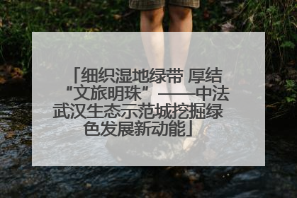 细织湿地绿带 厚结“文旅明珠”——中法武汉生态示范城挖掘绿色发展新动能