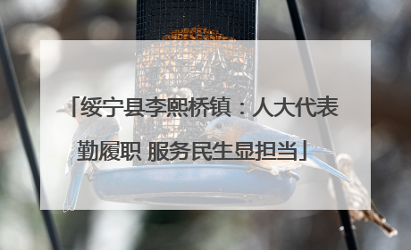 绥宁县李熙桥镇：人大代表勤履职 服务民生显担当