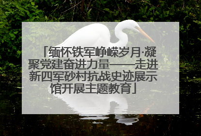 缅怀铁军峥嵘岁月·凝聚党建奋进力量——走进新四军砂村抗战史迹展示馆开展主题教育