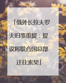 俄外长拉夫罗夫旧事重提：提议将联合国总部迁往索契