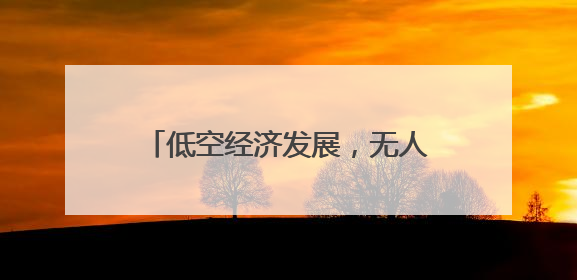 低空经济发展，无人机“飞手”职业走热