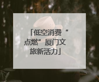 低空消费“点燃”厦门文旅新活力