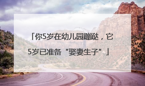 你5岁在幼儿园蹦跶，它5岁已准备“娶妻生子”