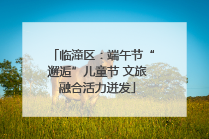 临潼区：端午节“邂逅”儿童节 文旅融合活力迸发