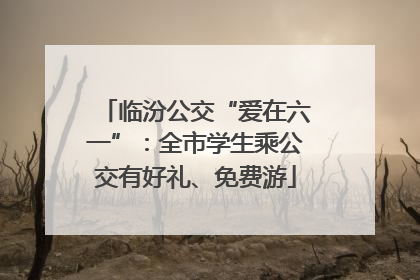 临汾公交“爱在六一”：全市学生乘公交有好礼、免费游