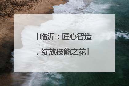 临沂：匠心智造，绽放技能之花