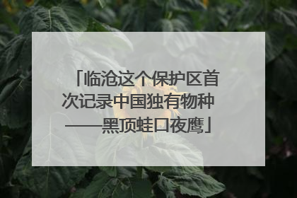 临沧这个保护区首次记录中国独有物种——黑顶蛙口夜鹰