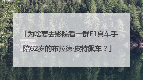 为啥要去影院看一群F1真车手陪62岁的布拉德·皮特飙车？