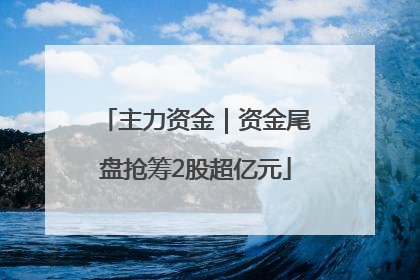 主力资金｜资金尾盘抢筹2股超亿元