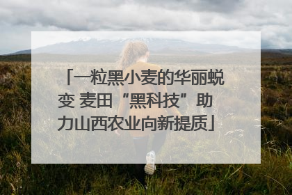 一粒黑小麦的华丽蜕变 麦田“黑科技”助力山西农业向新提质