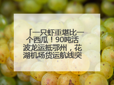 一只虾重堪比一个西瓜！90吨活波龙运抵鄂州，花湖机场货运航线突破100条