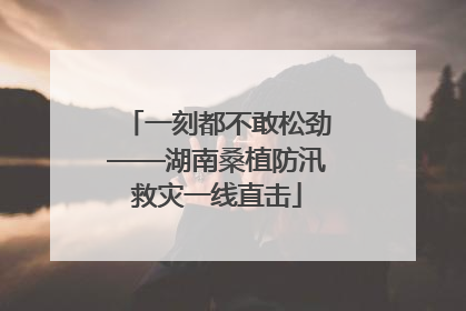 一刻都不敢松劲——湖南桑植防汛救灾一线直击