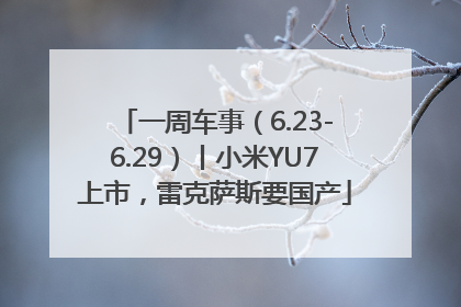 一周车事（6.23-6.29）丨小米YU7上市，雷克萨斯要国产