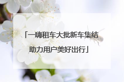 一嗨租车大批新车集结 助力用户美好出行