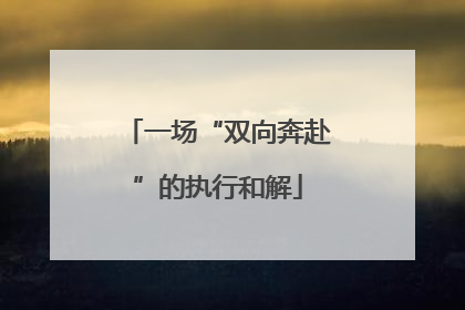 一场“双向奔赴”的执行和解