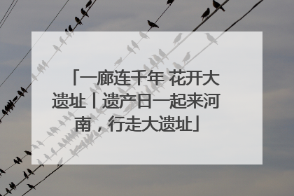 一廊连千年 花开大遗址丨遗产日一起来河南，行走大遗址