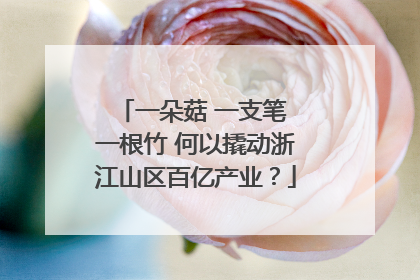 一朵菇 一支笔 一根竹 何以撬动浙江山区百亿产业？