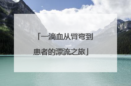 一滴血从臂弯到患者的漂流之旅