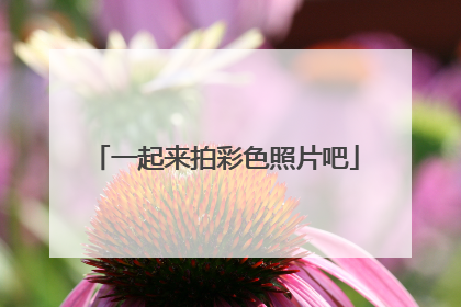 一起来拍彩色照片吧