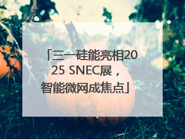 三一硅能亮相2025 SNEC展，智能微网成焦点