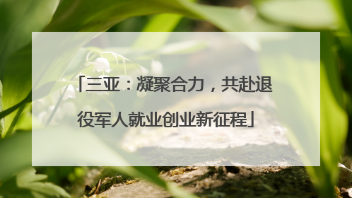三亚：凝聚合力，共赴退役军人就业创业新征程