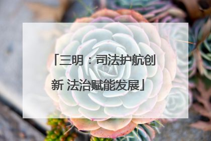 三明：司法护航创新 法治赋能发展