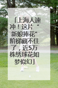 上海人速冲！这片“新娘捧花”阶梯藏不住了，近5万株绣球花如梦似幻
