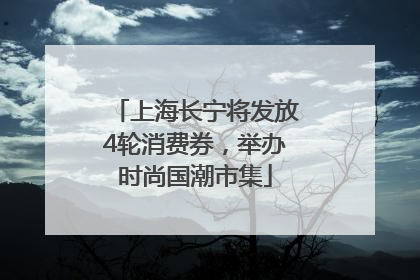上海长宁将发放4轮消费券，举办时尚国潮市集
