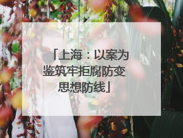 上海：以案为鉴筑牢拒腐防变思想防线
