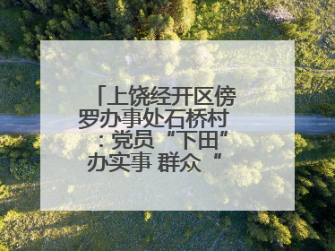 上饶经开区傍罗办事处石桥村：党员“下田”办实事 群众“点赞”笑开颜