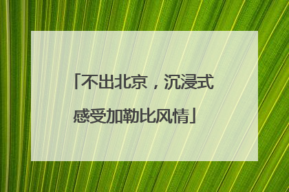 不出北京，沉浸式感受加勒比风情
